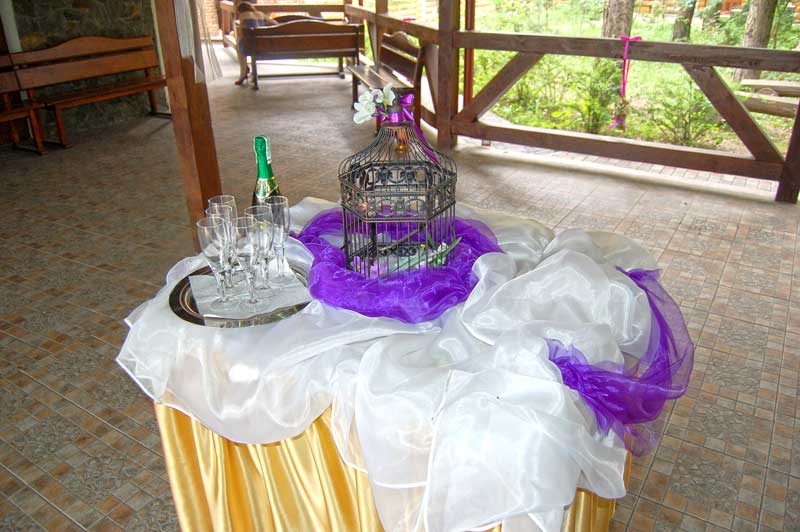 Біло-фіолетове весілля 16 липня 2011 року у Львові в ресторані "Львівське передмістя"