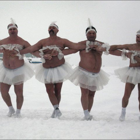Корпоративна вечірка з лебедями